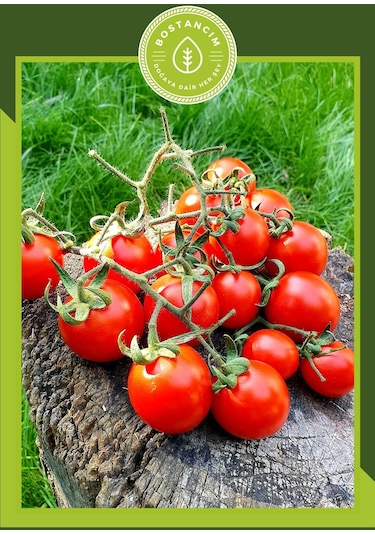 Cherry Domates Fidesi 6'lı Ambalaj
