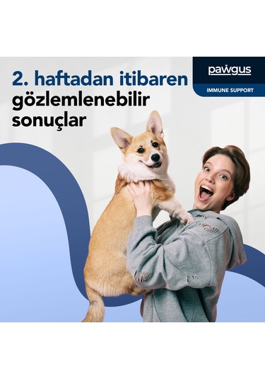 Pawgus Veteriner Serisi Köpekler Için Immune Bağışıklık Kuvvetlendirici Günlük Vitamin Desteği 30 x 2 G