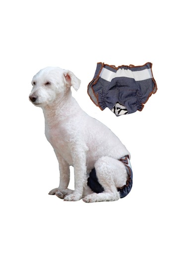 Anti-üzüntü Dişi Köpek Fizyolojik Pantolon İdrar Geçirmez Ve Islak Pet Sızdırmaz İç Çamaşırı, Boyut: L