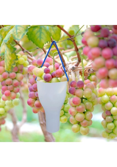 Suntek Üzüm Meyve Islatma Kupası Yetiştirme Bakımı S