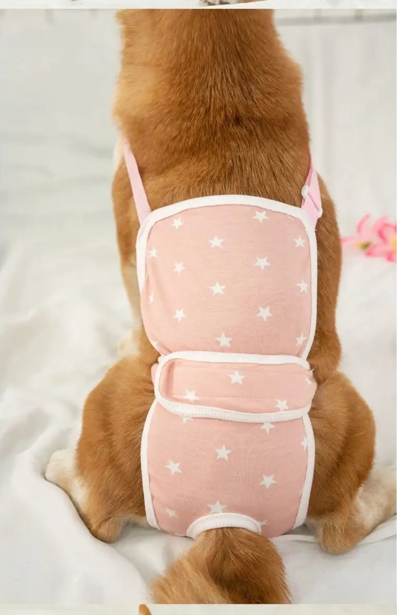 Best Golden Monkey Köpekler İçin Külot 95581082