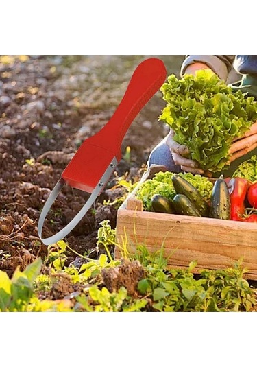 Trendooze Homyl Tarım Arazileri Bahçe Çim Yardımcısı Ot Kırmızı, Tarım Ürünleri