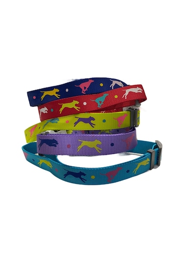 Leaping Dog Premium Boyun Tasması 2,5 Cm X 40-65 Cm Çok Renkli