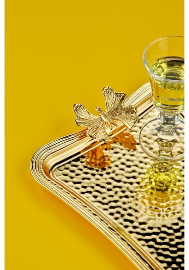 Cooker Özel Lüx Dikdörtgen Paslanmaz Çelik Tepsi 26 Cm Altın