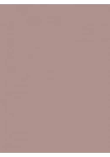 Wagner Boya Wabıesılan Silikonlu Dış Cephe Boya 2,5 Lt