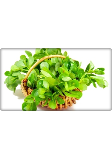 Semizotu Tohumu 10 GR N111618