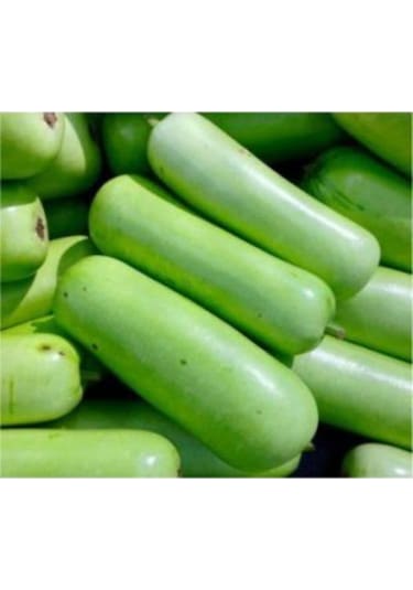 Nadir Çin Kavunu Tohumu Ekim Seti