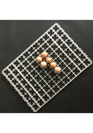 Pazly Yumurta Yumurta Suntek Ördek Kuş Kanatlı Bıldırcın 88-tavuk Jy