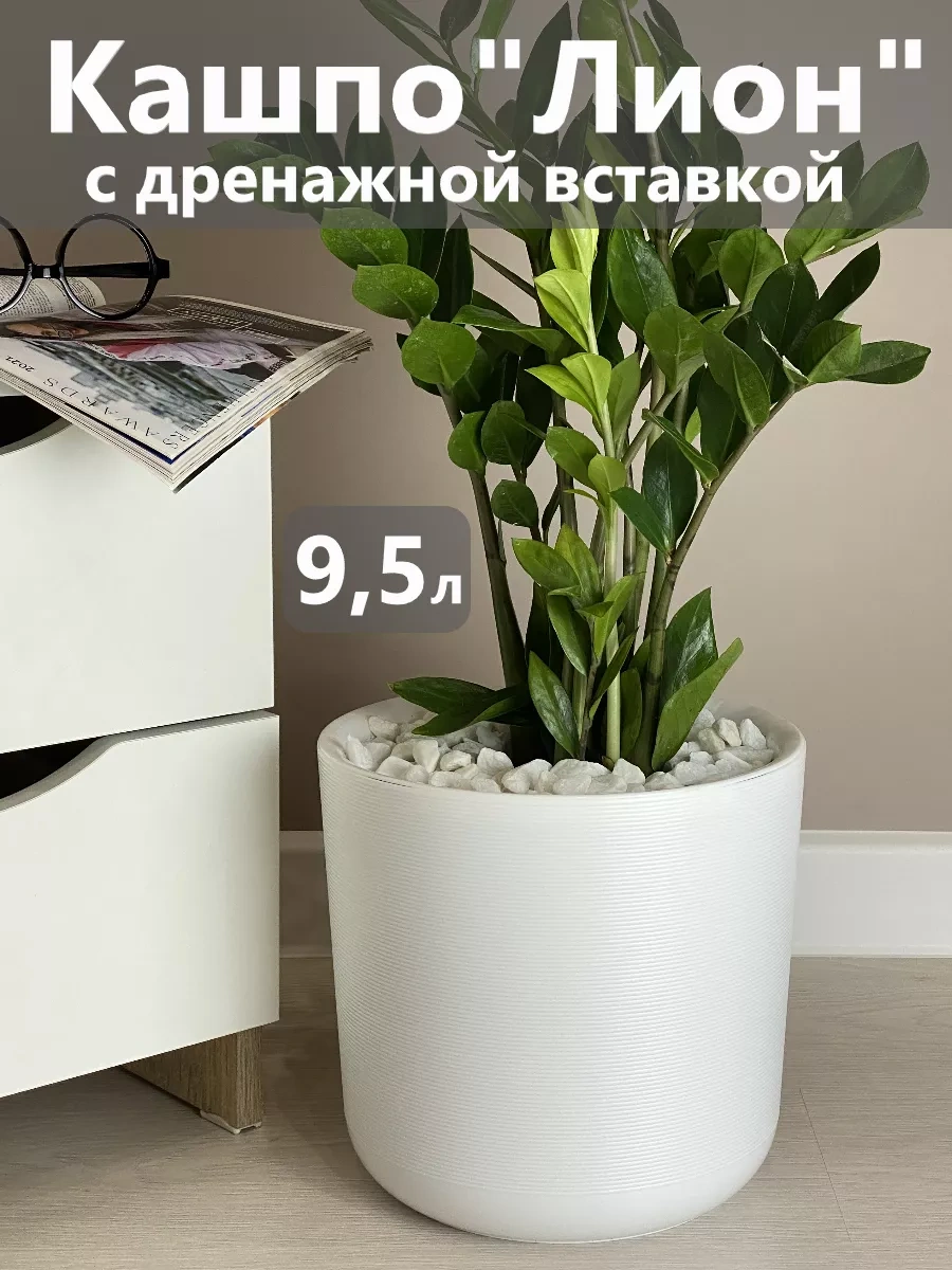 Live-in-green Ev İçin Saksı/zemin/çiçek Saksısı/plastik/büyük 166957247