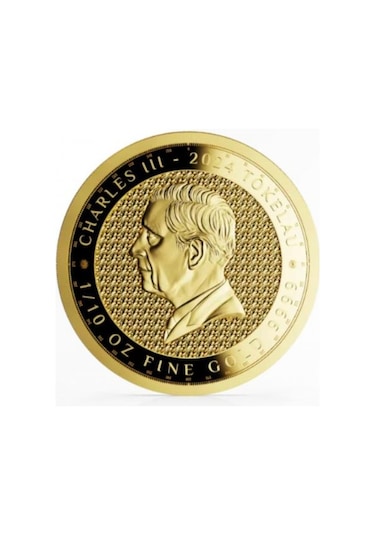 Agakulche Terra 2024 Altın Sikke Coin
