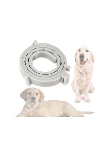 Suntek Kedi Köpek 10 Ay Koruma Evcil Hayvan Malzemeleri 62cm-gri Gri