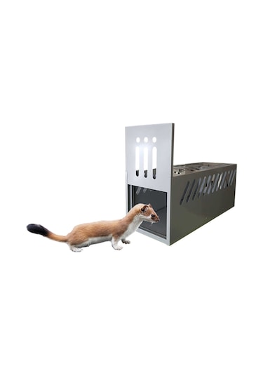 Delta Kedi Yakalama Tuzağı
