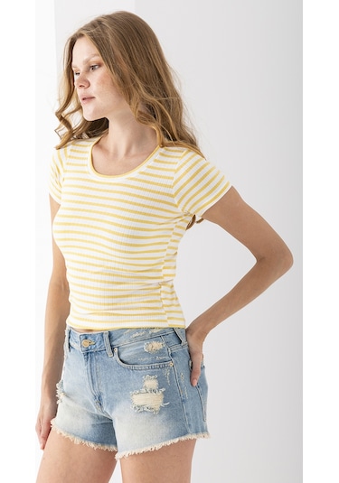 Giysa Kadın Bisiklet Yaka Çizgili Basic Body Sarı - 25509 Sarı