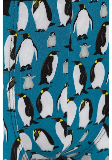 Farm Animals Penguins Desenli Boxer