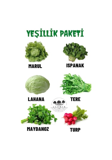 Tohum Paketi Marul, Ispanak , Lahana , Tere , Maydanoz , Turp