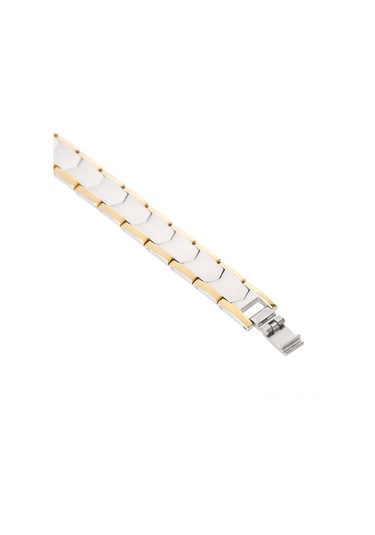 Tenfowee Erkekler İçin Titanyum Çelik Sağlık Bilezik, Manyetik Tasarım, Eklem Ağrısı Azaltıcı, Kan Dolaşımını Geliştirici, Uzunluğu Ayarlanabilir Gümüş Diğer