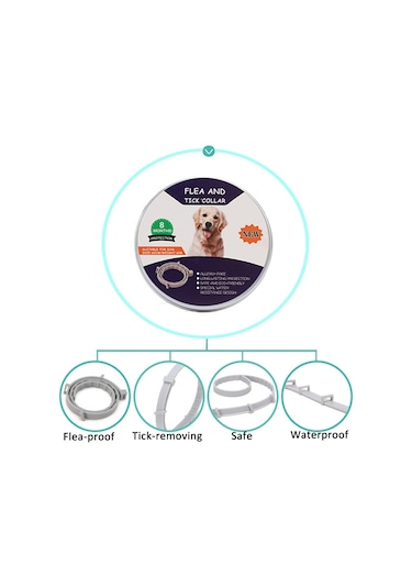 Pire Ve Kene Yaka Köpekler İçin Alüminyum Kasa İle Kediler, Boyut: 72cm Turuncu Çok Renkli