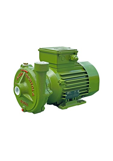 Alem Bertola Astra Su Pompası 1.5 Hp 220 Volt Monofaze