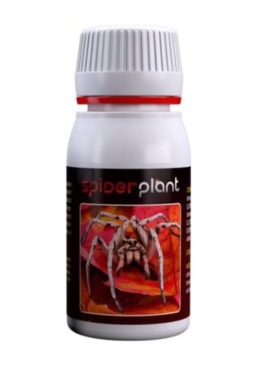 Agrobacterias Spider Plant 60 Ml Diğer