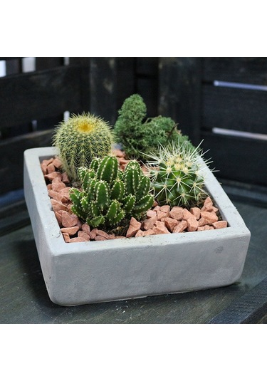 Kare Beton Saksı 10cm Gri