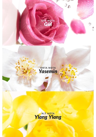 Avon Soft Musk Kadın Parfüm EDT 50 ML