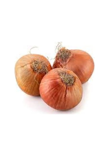 300 Adet Tohum Nadir Hobi Bahçe Kışlık Kuru Soğan Tohumu Uzun Ömürlü Soğan