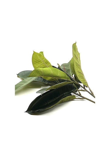 2 Dal Yapay Ficus Elasticos Kauçuk Ağacı Çiçeği 60 Cm Yeşil
