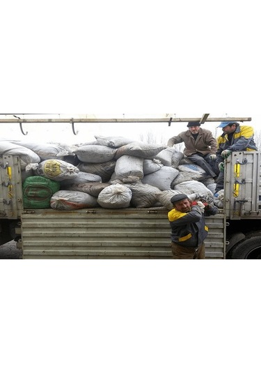 500 ML Turkuvaz Bat Power Organik Sıvı Yarasa Gübresi