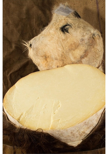 Gurmepark Ermenek Tulum İnek Peyniri 1 KG