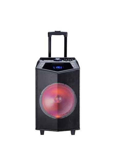 Oyility Dk-15 15'' Telsiz Mikrofonlu Taşınabilir Ses Sistemi