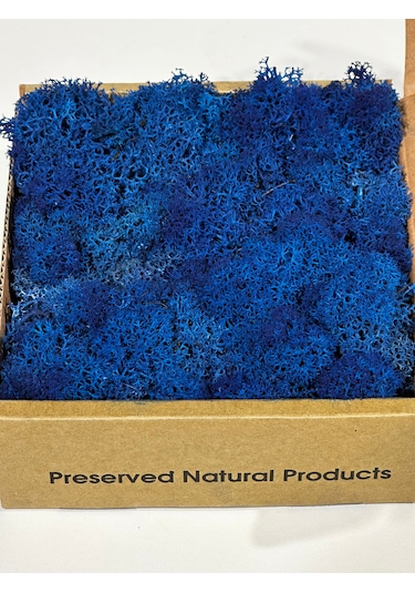 Reindermoss Şoklanmış Norveç Yosunu Terarium Yosunu Mavi 500 Gr.
