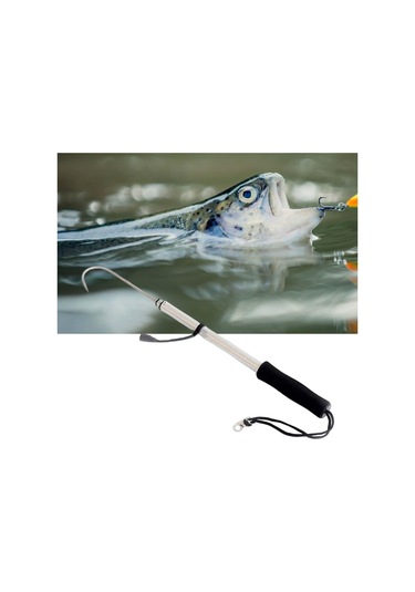 Suntek Fishing Gaff Buz Balıkçılığı Balık Dudak Kavrama