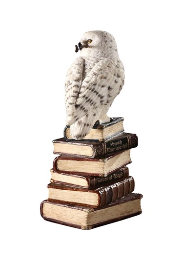 Kitap Yığını Üzerindeki Sihirli Değnekli Hedwig Kar Baykuşu Biblosu / Küçük Boy