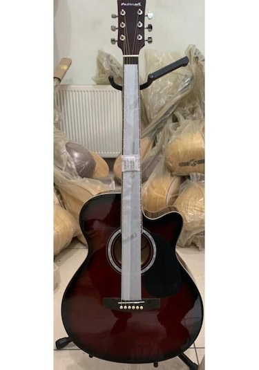 Elektro Akustik Gitar