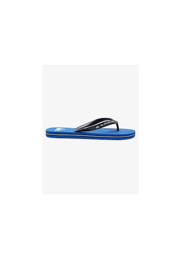 Quiksilver MOLOKAI CORE Erkek Ayakkabı AQYL101325-QK.BYJ1 Mavi