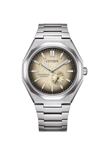 Cıtızen Zenshin 60 Nk5020-58p Erkek Kol Saati Metalik