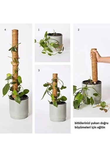 Abaka Sarmaşık Destek Çubuğu 80 Cm