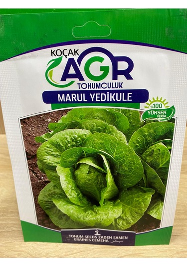 Agr Marul Yedikule Tohumu Marul