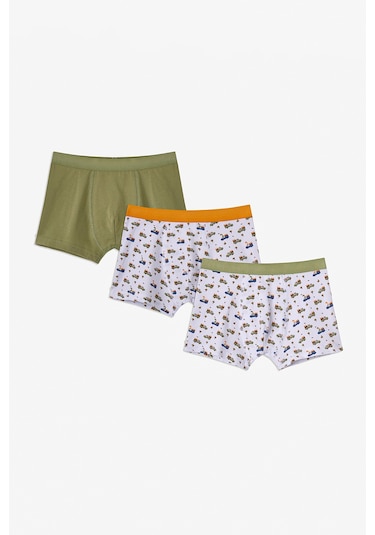 Penti Haki Erkek Çocuk Dino in The Field 3'lü Boxer