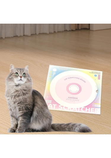 Suntek Kapalı Alandaki Kediler Yavru Kedi Eğitimi Için