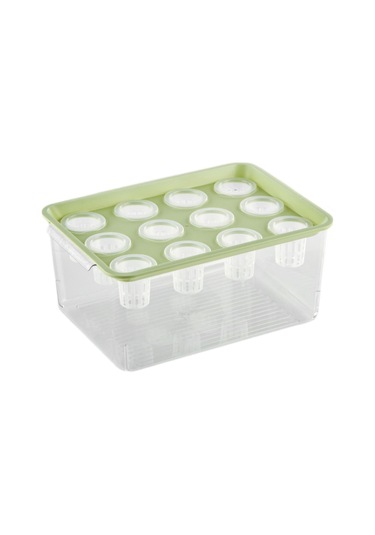 Suntek Hidroponik Yetiştirici Kutusu 12 Delik Sebzeler Yeşil