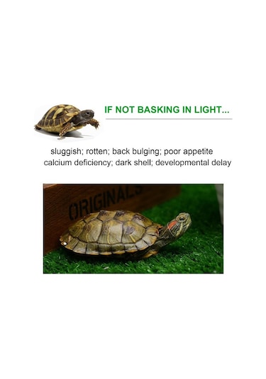 Agoodshop 75w Sürüngen Isı Lambası Kaplumbağa Isı Lambası Lamba Isıtıcı