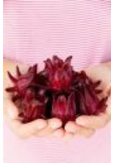 Sudan Bamyası Çiçeği Tohumu Roselle Çiçeği Tohumu Hibisküs Çiçeği Tohumu 10 Adet Tohum