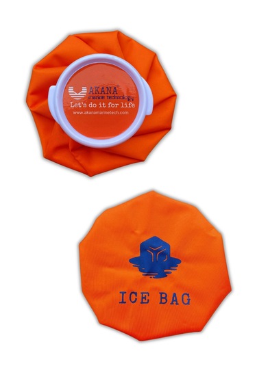 Akana Buz Torbası 16cm