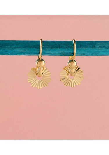 Çelikoğlu Kuyumculuk 14 Ayar Altın Göçmen Pır Pır Küpe 1,94 Gr