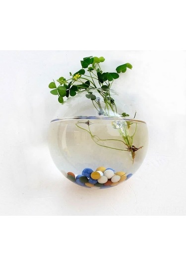 Yarıçap Şeffaf Cam Duvar Tipi Süs Vazosu - Su Bitkileri İçin Modern Ev Dekorasyonu