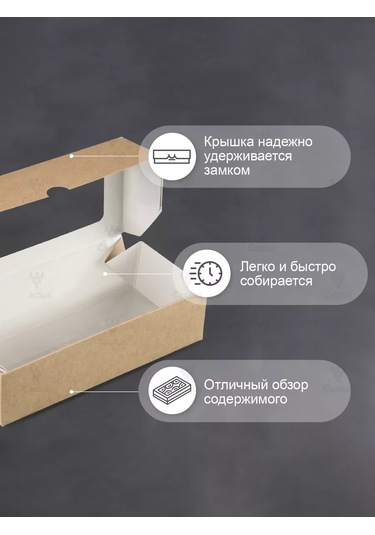 Cactus Karton Kutu Pencereli Ambalaj 500 Ml 10 Adet 208474272