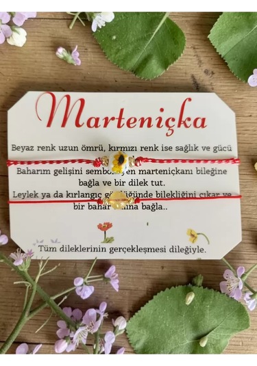 Marteniçka Sitrin Taşı Ve Seramik Boncuklu Bileklik Çok Renkli