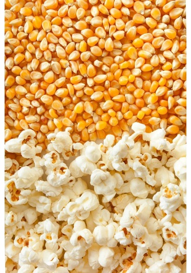 Egeden Her Yere Nazilli Patlayan Cin Mısır %100 Patlayan Mısır İri Boy 500 G