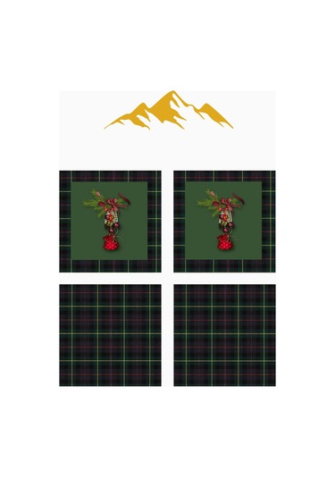 Dijital Baskılı Yumuşak Dokulu 4 Lü Kırlent Kılıfı Takımı 43x43 Cm Krl0042 Renkli